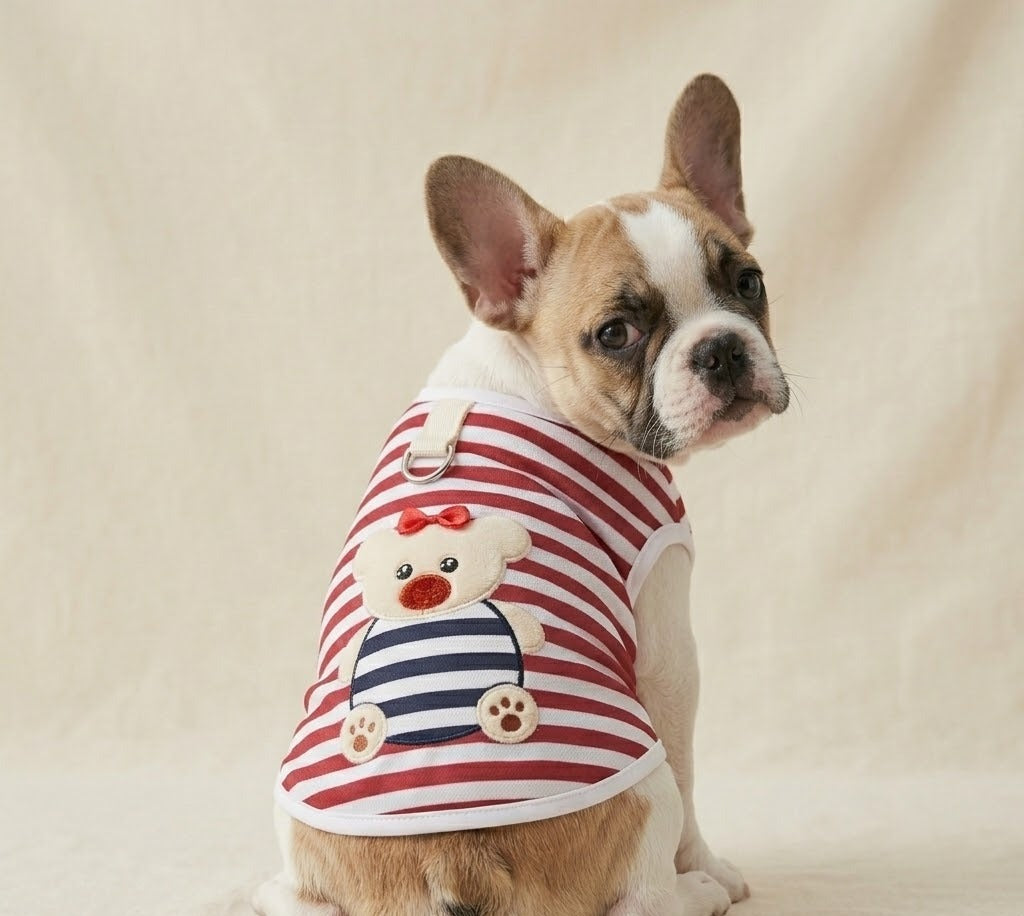 Maillot Matelot Rouge porté par un chien - vue de dos
